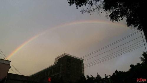 成都彩虹最新爆料,揭秘神秘事件背后的真相  第2张