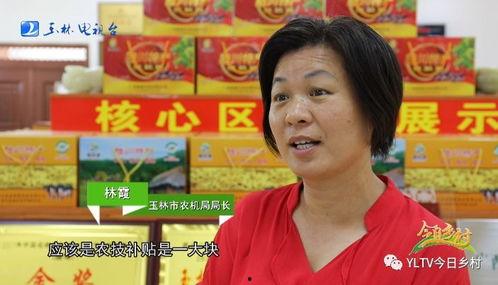 刘晶爆料广西网红视频,刘晶爆料背后的惊人真相！”