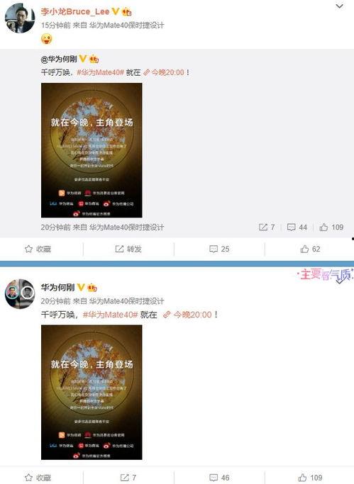 手机爆料套路大全最新视频,最新视频深度解析